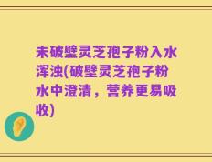 未破壁灵芝孢子粉入水浑浊(破壁灵芝孢子粉水中澄清，营养更易吸收)
