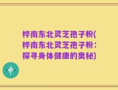 桦南东北灵芝孢子粉(桦南东北灵芝孢子粉：探寻身体健康的奥秘)