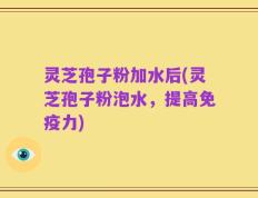 灵芝孢子粉加水后(灵芝孢子粉泡水，提高免疫力)