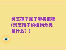 灵芝孢子属于哪类植物(灵芝孢子的植物分类是什么？)