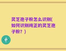灵芝孢子粉怎么识别(如何识别纯正的灵芝孢子粉？)