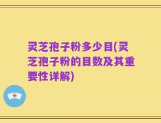 灵芝孢子粉多少目(灵芝孢子粉的目数及其重要性详解)