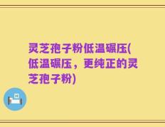 灵芝孢子粉低温碾压(低温碾压，更纯正的灵芝孢子粉)