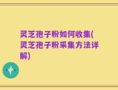 灵芝孢子粉如何收集(灵芝孢子粉采集方法详解)