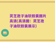灵芝孢子油软胶囊图片高清(高清图：灵芝孢子油软胶囊展示)