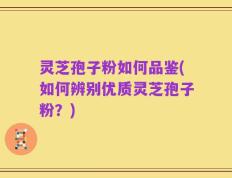 灵芝孢子粉如何品鉴(如何辨别优质灵芝孢子粉？)