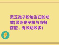 灵芝孢子粉加当归的功效(灵芝孢子粉与当归搭配，有效功效多)