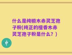 什么是纯椴木赤灵芝孢子粉(纯正的檀香木赤灵芝孢子粉是什么？)