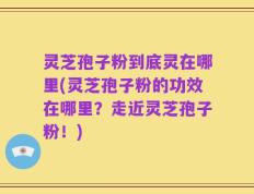 灵芝孢子粉到底灵在哪里(灵芝孢子粉的功效在哪里？走近灵芝孢子粉！)