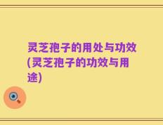 灵芝孢子的用处与功效(灵芝孢子的功效与用途)