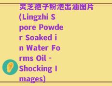 灵芝孢子粉泡出油图片(Lingzhi Spore Powder Soaked in Water Forms Oil - Shocking Images)
