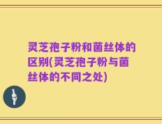 灵芝孢子粉和菌丝体的区别(灵芝孢子粉与菌丝体的不同之处)