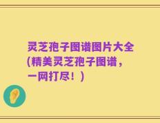 灵芝孢子图谱图片大全(精美灵芝孢子图谱，一网打尽！)