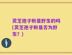 灵芝孢子粉是野生的吗(灵芝孢子粉是否为野生？)