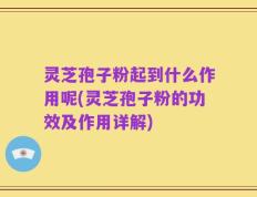 灵芝孢子粉起到什么作用呢(灵芝孢子粉的功效及作用详解)