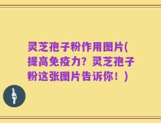 灵芝孢子粉作用图片(提高免疫力？灵芝孢子粉这张图片告诉你！)