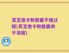 灵芝孢子粉胶囊干燥过程(灵芝孢子粉胶囊烘干流程)