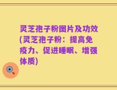 灵芝孢子粉图片及功效(灵芝孢子粉：提高免疫力、促进睡眠、增强体质)