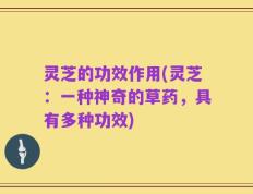 灵芝的功效作用(灵芝：一种神奇的草药，具有多种功效)