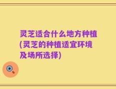 灵芝适合什么地方种植(灵芝的种植适宜环境及场所选择)