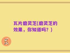 瓦片磨灵芝(磨灵芝的效果，你知道吗？)