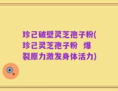 珍己破壁灵芝孢子粉(珍己灵芝孢子粉  爆裂原力激发身体活力)