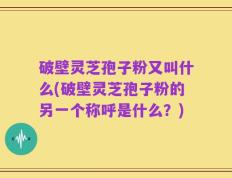 破壁灵芝孢子粉又叫什么(破壁灵芝孢子粉的另一个称呼是什么？)