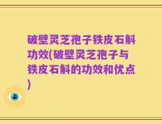 破壁灵芝孢子铁皮石斛功效(破壁灵芝孢子与铁皮石斛的功效和优点)