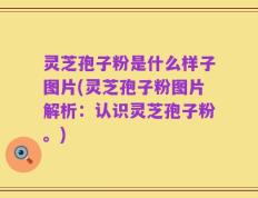 灵芝孢子粉是什么样子图片(灵芝孢子粉图片解析：认识灵芝孢子粉。)