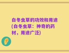 白冬虫草的功效和用途(白冬虫草：神奇的药材，用途广泛)