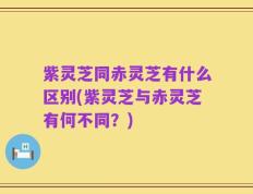 紫灵芝同赤灵芝有什么区别(紫灵芝与赤灵芝有何不同？)