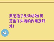 灵芝孢子头汤功效(灵芝孢子头汤的作用及好处)