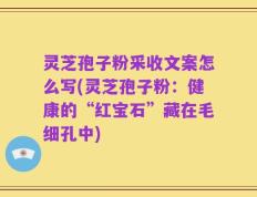 灵芝孢子粉采收文案怎么写(灵芝孢子粉：健康的“红宝石”藏在毛细孔中)