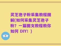 灵芝孢子粉采集教程图解(如何采集灵芝孢子粉？一篇图文教程教你如何 DIY！)