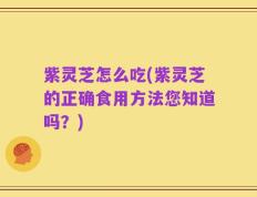 紫灵芝怎么吃(紫灵芝的正确食用方法您知道吗？)