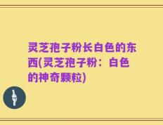灵芝孢子粉长白色的东西(灵芝孢子粉：白色的神奇颗粒)