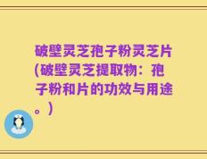 破壁灵芝孢子粉灵芝片(破壁灵芝提取物：孢子粉和片的功效与用途。)