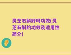 灵芝石斛好吗功效(灵芝石斛的功效及适用性简介)