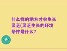 什么样的地方才会生长灵芝(灵芝生长的环境条件是什么？