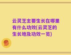 云灵芝主要生长在哪里有什么功效(云灵芝的生长地及功效一览)