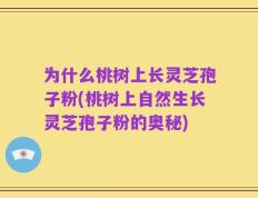 为什么桃树上长灵芝孢子粉(桃树上自然生长灵芝孢子粉的奥秘)