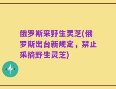 俄罗斯采野生灵芝(俄罗斯出台新规定，禁止采摘野生灵芝)