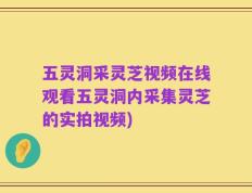 五灵洞采灵芝视频在线观看五灵洞内采集灵芝的实拍视频)