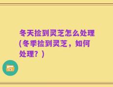 冬天捡到灵芝怎么处理(冬季捡到灵芝，如何处理？)