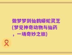 做梦梦到仙鹤蟒蛇灵芝(梦见神奇动物与仙药，一场奇妙之旅)