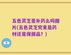 五色灵芝是补药么吗图片(五色灵芝究竟是药材还是保健品？)