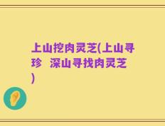 上山挖肉灵芝(上山寻珍  深山寻找肉灵芝)