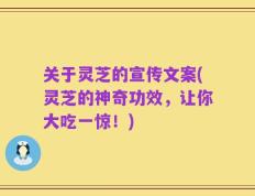 关于灵芝的宣传文案(灵芝的神奇功效，让你大吃一惊！)