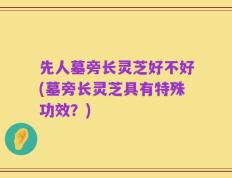 先人墓旁长灵芝好不好(墓旁长灵芝具有特殊功效？)