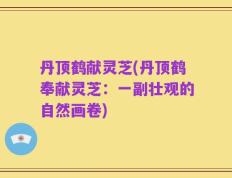 丹顶鹤献灵芝(丹顶鹤奉献灵芝：一副壮观的自然画卷)